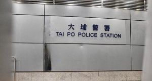 Mother Arrested for Assaulting Children Over Noise Dispute Tai Po Police
