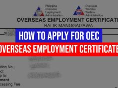 DMW Bilang ng mga OFWs na naisyuhan ng OEC, tumaas ng 17% noong 2023 how-to-apply-oec-ofws-owwa