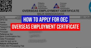 DMW Bilang ng mga OFWs na naisyuhan ng OEC, tumaas ng 17% noong 2023 how-to-apply-oec-ofws-owwa