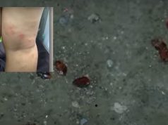 Surot sa NAIA posible na imported