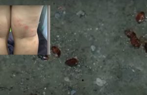 Surot sa NAIA posible na imported