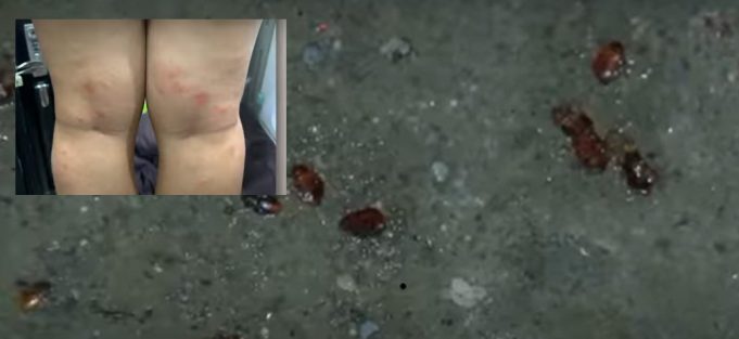 Surot sa NAIA posible na imported