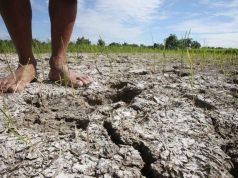 Drought-Stricken Antique Declares State of Calamity as El Niño Wreaks Havoc Drought-Stricken Antique Declares State of Calamity v2