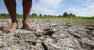 Drought-Stricken Antique Declares State of Calamity as El Niño Wreaks Havoc Drought-Stricken Antique Declares State of Calamity v2