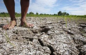 Drought-Stricken Antique Declares State of Calamity as El Niño Wreaks Havoc Drought-Stricken Antique Declares State of Calamity v2