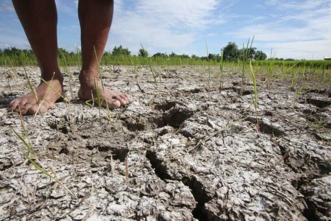 Drought-Stricken Antique Declares State of Calamity as El Niño Wreaks Havoc Drought-Stricken Antique Declares State of Calamity v2