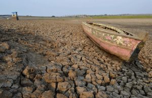 Philippine Government Vows Direct Aid, Monitoring 273 Areas Hit By El Niño Drought 273 Areas Hit By El Niño Drought 2000