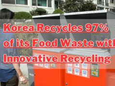 Global Food Waste Crisis South Korea Leads the Way with Innovative Recycling Korea Recycles 97% of its Food Waste with Innovative Recycling
