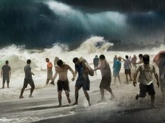 Hong Kong Government Imposes Heavy Penalties for Reckless Behavior During Extreme Weather Reckless Behavior During Typhoon in Hong Kong, editorial