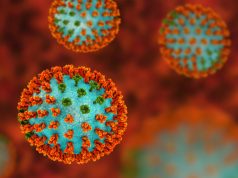 Hong Kong Faces Potential Double Influenza Wave, Expert Warns influenza virus 2
