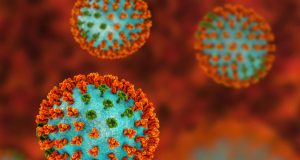 Hong Kong Faces Potential Double Influenza Wave, Expert Warns influenza virus 2