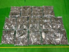Duo Arrested After Over $3 Million Worth of Drugs Found in Yuen Long Raid cannabis products in Yuen Long