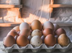 Outbreak of Avian Flu Prompts Import Bans on Poultry and Eggs from Australia and US photo-of-a-variety-of-eggs