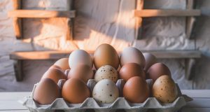 Outbreak of Avian Flu Prompts Import Bans on Poultry and Eggs from Australia and US photo-of-a-variety-of-eggs