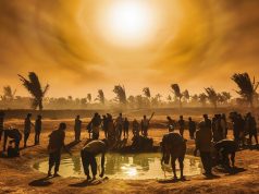 Summer of 2024 Sets New Global Temperature Records Summer of 2024 Sets New Global Temperature Records