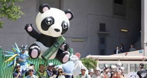 Giant Pandas Set to Delight Visitors at Ocean Park in December giant pandas An An and Ke Ke