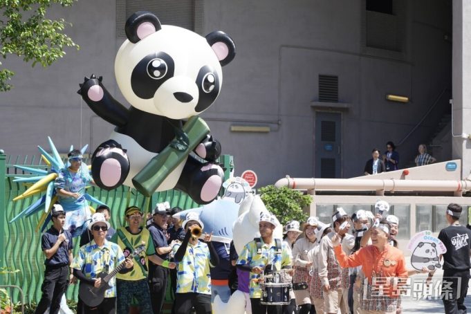 Giant Pandas Set to Delight Visitors at Ocean Park in December giant pandas An An and Ke Ke