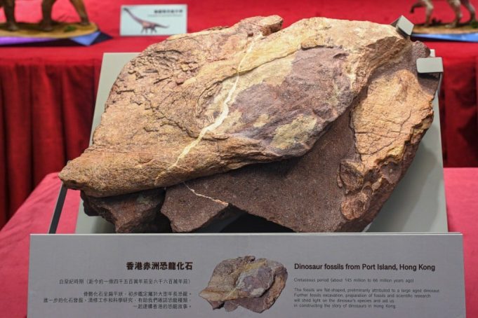 Dinosaur Fossils Discovered in Hong Kong Captivate Locals Dinosaur Fossils Discovered in Hong Kong