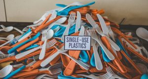 Local Businesses Adapt Well to Single-Use Plastics Ban single-use plastics utensils