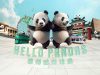 Hong Kong Pandas Prepare for Public Debut on December 8 Hong Kong Pandas Prepare for Public Debut