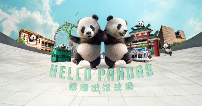Hong Kong Pandas Prepare for Public Debut on December 8 Hong Kong Pandas Prepare for Public Debut