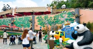 Hong Kong Unveils Plans for December Celebration Featuring New Giant Pandas Residents: New giant panda meet