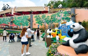 Hong Kong Unveils Plans for December Celebration Featuring New Giant Pandas Residents: New giant panda meet