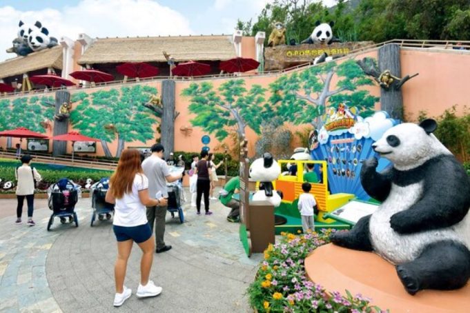 Hong Kong Unveils Plans for December Celebration Featuring New Giant Pandas Residents: New giant panda meet