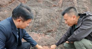 Hongkongers Unearth Rare Dinosaur Egg Fossils in Guangdong Hongkongers Unearth Rare Dinosaur Egg Fossils in Guangdong