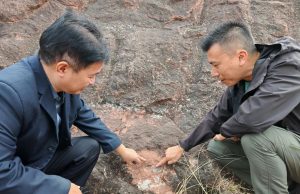 Hongkongers Unearth Rare Dinosaur Egg Fossils in Guangdong Hongkongers Unearth Rare Dinosaur Egg Fossils in Guangdong