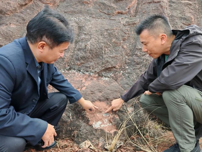 Hongkongers Unearth Rare Dinosaur Egg Fossils in Guangdong Hongkongers Unearth Rare Dinosaur Egg Fossils in Guangdong