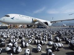 A Festive Showcase of 2,500 Adorable Panda Sculptures! panda-themed exhibition to showcase across HK