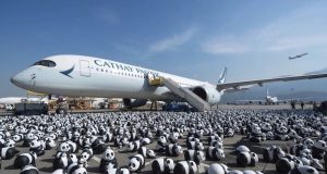 A Festive Showcase of 2,500 Adorable Panda Sculptures! panda-themed exhibition to showcase across HK