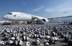 A Festive Showcase of 2,500 Adorable Panda Sculptures! panda-themed exhibition to showcase across HK