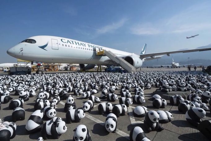 A Festive Showcase of 2,500 Adorable Panda Sculptures! panda-themed exhibition to showcase across HK