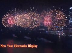 Hong Kong Rings in the Year of the Snake with Dazzling Fireworks Spectacle Over Victoria Harbour Chinese New Year Fireworks Display