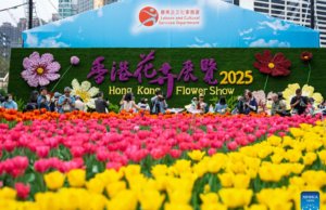 Hong Kong Flower Show Closes Sunday with Free Flower Giveaway Hong Kong Flower Show 2025