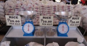 DMW and DA Launch Affordable PHP20 Rice Initiative for OFWs and Families P20 rice to be available to OFWs