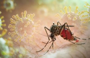 HK Authorities Ramp Up Mosquito Control as Chikungunya Cases Rise Worldwide HK Authorities Ramp Up Mosquito Control