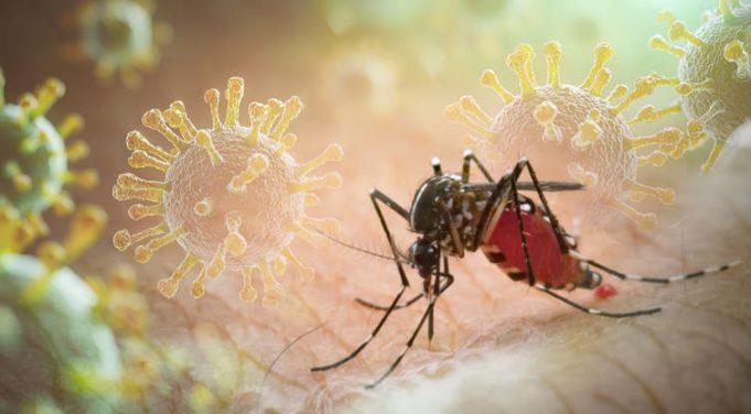 HK Authorities Ramp Up Mosquito Control as Chikungunya Cases Rise Worldwide HK Authorities Ramp Up Mosquito Control