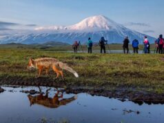 Nearly 70 Earthquakes Rattle Russia’s Kamchatka Peninsula, Following Major 8.8 Magnitude Quake Kamchatka-Photo-tour-bears-volcanoes-Russia-min