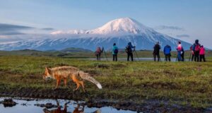 Nearly 70 Earthquakes Rattle Russia’s Kamchatka Peninsula, Following Major 8.8 Magnitude Quake Kamchatka-Photo-tour-bears-volcanoes-Russia-min