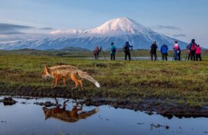 Nearly 70 Earthquakes Rattle Russia’s Kamchatka Peninsula, Following Major 8.8 Magnitude Quake Kamchatka-Photo-tour-bears-volcanoes-Russia-min