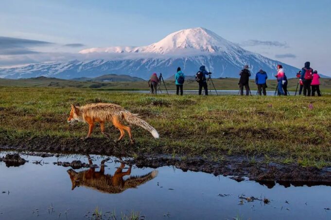 Nearly 70 Earthquakes Rattle Russia’s Kamchatka Peninsula, Following Major 8.8 Magnitude Quake Kamchatka-Photo-tour-bears-volcanoes-Russia-min