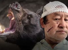 Japan Calls for Military Aid as Deadly Bear Attacks Surge to Record High Japan bear attacks