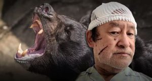 Japan Calls for Military Aid as Deadly Bear Attacks Surge to Record High Japan bear attacks