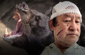 Japan Calls for Military Aid as Deadly Bear Attacks Surge to Record High Japan bear attacks