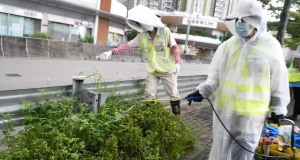 5 Hikers Infected With Chikungunya on Closed Hong Kong Nature Trail 5 Hikers Infected With Chikungunya on Closed Hong Kong Nature Trail