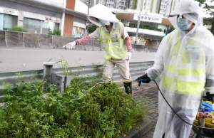 5 Hikers Infected With Chikungunya on Closed Hong Kong Nature Trail 5 Hikers Infected With Chikungunya on Closed Hong Kong Nature Trail