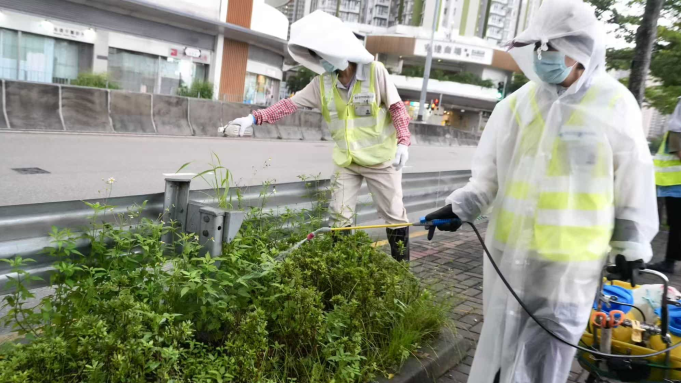 5 Hikers Infected With Chikungunya on Closed Hong Kong Nature Trail 5 Hikers Infected With Chikungunya on Closed Hong Kong Nature Trail